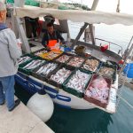 Fischkauf in Makarska