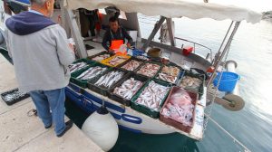 Fischkauf in Makarska