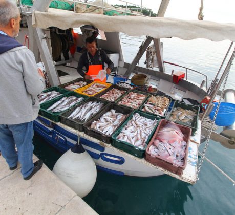 Fischkauf in Makarska
